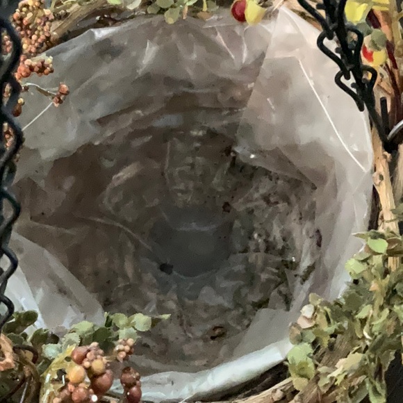 Birds nest planter - Picture 4 of 4